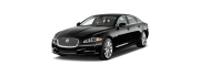 XF
